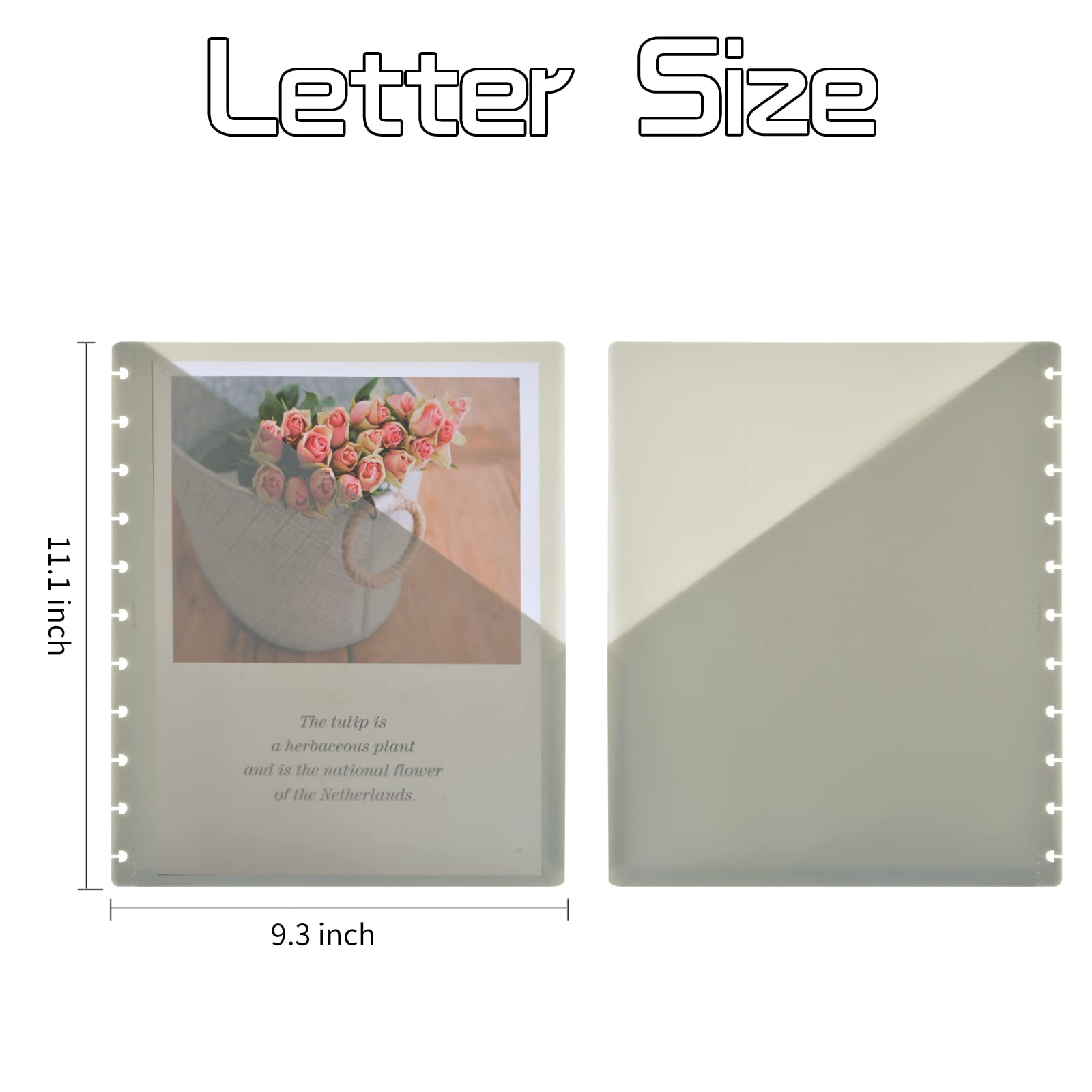 12 Pack Letter Size Disc Planner Pocket 11 Disc Planner Pocket Folder Discbound Dividers 8.5 x 11 Discbound Notebook Dividers wi
