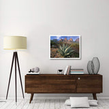 Chisos Agave And The Chisos Mountains, Big Bend National Park, Texas-Paper Art-34,,X26,,