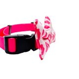 Cutie Ties Dog Bow Tie Ice Pops - 2 X 4 Premium Quality Bow Ties For Dogs - Fancy Dog Tie With Slip Over Elastic Bands - Cute Do
