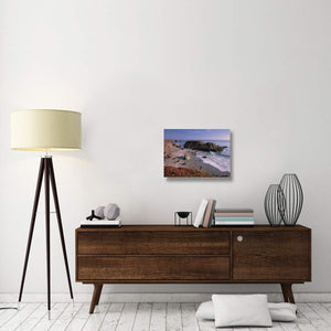 Beach Near San Simeon Creek With Ice Plant In The Foreground, Big Sur, California-Canvas Art-24X18