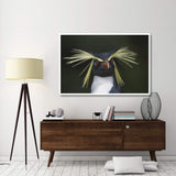 Rockhopper Penguin Portrait, Gough Island, South Atlantic-Paper Art-62,,X42,,