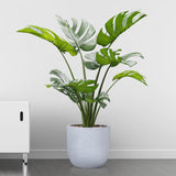 Bonkaso 14 Inch White Pot Tall, Durable & Lightweight Polymer Jaguar Round Planter For Indoor & Outdoor Use: Home, Office, Gar