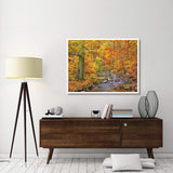 Beech Forest In Autumn, Ilse Valley, Germany-Paper Art-50,,X38,,