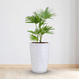 Bonkaso 24 Inch White Pot Tall, Durable & Lightweight Polymer Round Tower Planter For Indoor & Outdoor Use: Home, Office, Gard