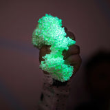 Educational Insights Playfoam Glow-In-The-Dark 4-Pack, Fidget & Sensory Toy, Gift for Boys & Girls, Ages 3+