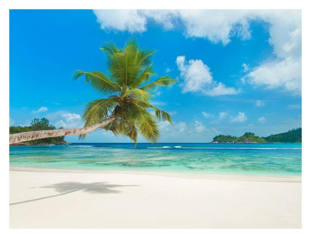 Tropical Beach, Seychelles (Detail)-Paper Art-34,,X26,,