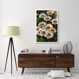 Gazania Big Kiss White Flame Variety Flowers-Paper Art-34X50