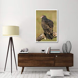 Turkey Vulture, Howell Nature Center, Michigan-Paper Art-34X50