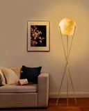 Lightdot 66 Globe Moon Floor Lamp for Living Room Modern Gold Tripod Floor Lamp with 3D Printing Frosted Shade E26 300K Bulbs In