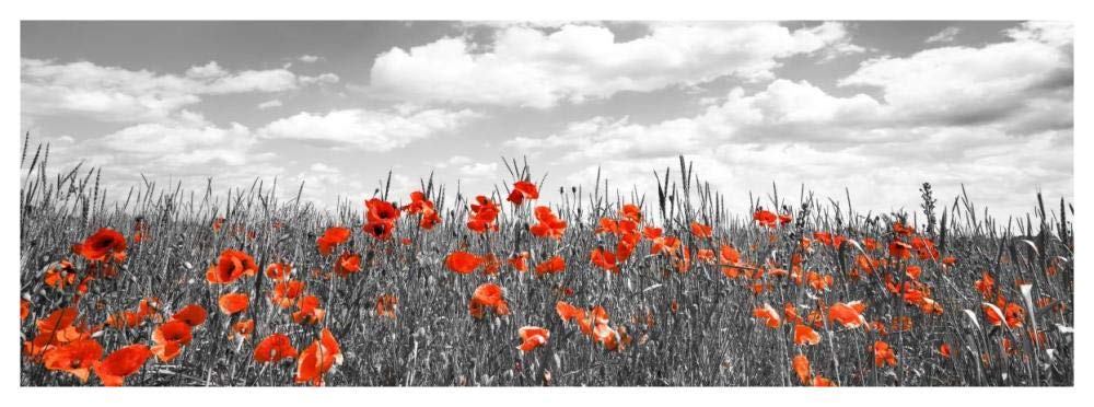 Poppies In Corn Field, Bavaria, Germany-Paper Art-56,,X20,,