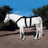 Ice Horse Back Blanket for Equine Therapy - Comes with 10 Ice Packs Inserts