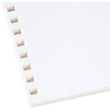 GBC ProClick Presentation Paper, Prepunched, 96 Bright, 24 lb,Letter Size (8.5 x 11), 250 sheets (2514479) White