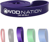 Single Pull Up Assistance Band (40-80lbs Purple Band) - Best for Pullup Assist, Chin Ups, Resistance Bands Exercise, Stretch, Mo