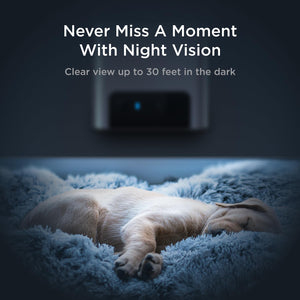 Petcube Bites 2 Lite Interactive WiFi Pet Monitoring Camera with Phone App and Treat Dispenser, 1080p HD Video, Night Vision, Tw