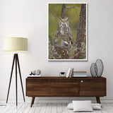 Great Horned Owl Adult Perching In Tree, North America-Paper Art-42,,X62,,