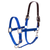 Equinavia Loki Adjustable Breakaway Horse Halter - Royal Blue - Horse