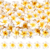 SUNNYCLUE 1 Box 48Pcs 25mm White Plumeria Beads Plumeria Flower Beads Large Polymer Clay Hawaiian Floral Summer Life Hawaii Beac