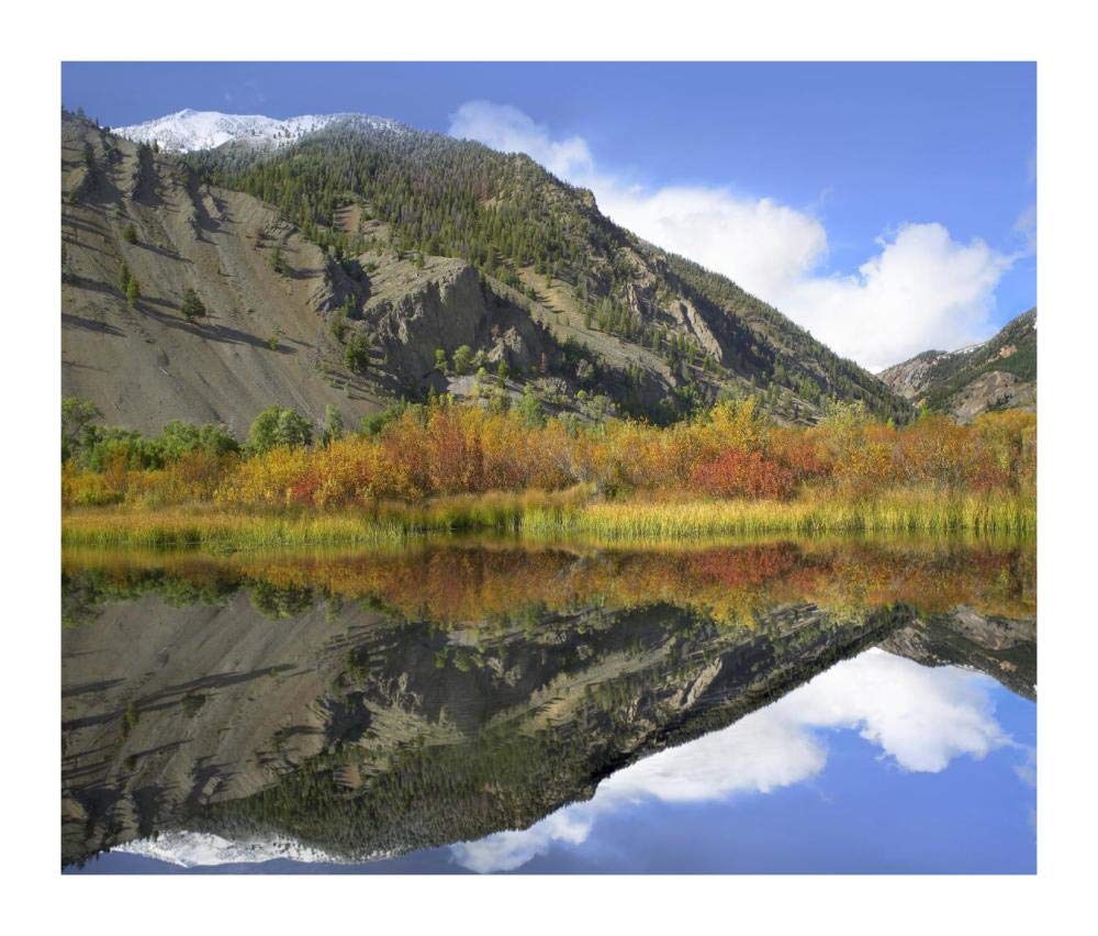 Boulder Mountains Reflected In Beaver Pond, Idaho-Paper Art-18,,X15.28,,