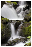 Cascading Creek In Temperate Rainforest Interior, Sitka, Alaska-Paper Art-34,,X50,,