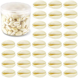 WEOXPR 200 Pcs Natural White Cowrie Shells, No Holes