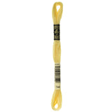 Dmc 6Strand Embroidery Cotton 8.7ydPale Yellow