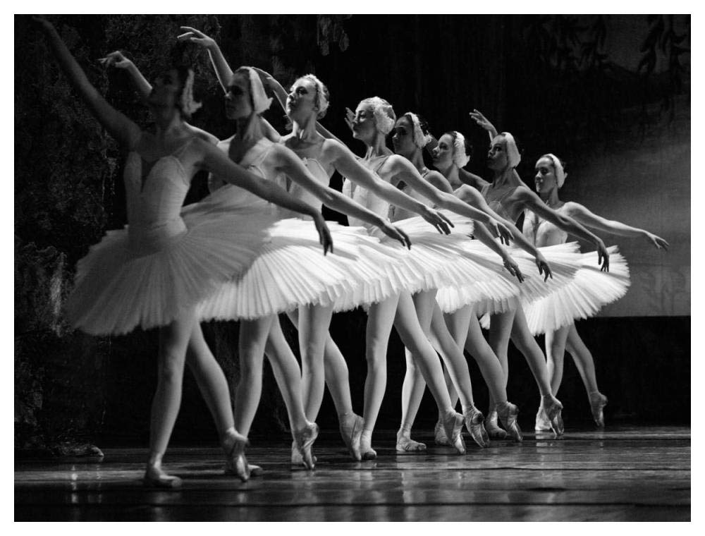 Swan Lake Ballet-Paper Art-50,,X38,,