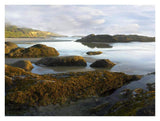 Seaweed Covered Rocks Exposed At Low Tide, Neptune Beach, Oregon-Paper Art-34,,X26,,