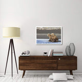 Grizzly Bear Yearlings On Shore, Katmai National Park, Alaska-Paper Art-38,,X26,,