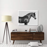 Orpheus, Arab Horse-Paper Art-50,,X38,,