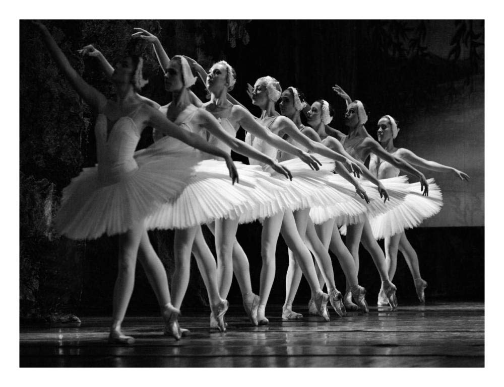 Swan Lake Ballet-Paper Art-26,,X20,,