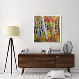 Autumn In Shelburne Forest - Triptych Left-Paper Art-42,,X42,,