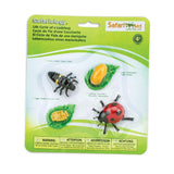 Safari Ltd. Life Cycle of a Ladybug - Educational Toy Figurines - Miniature Beetle Lifecycle Collection for Boys, Girls & Kids A
