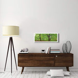 European Beech, Kellerwald, Germany-Paper Art-38,,X14,,