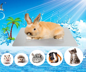 Comtim Rabbits Cooling Mat, Self Cooling Mat Pad For Hamster Guinea Pig Chinchilla Bunny Kitten Cat And Other Small Animals, Pet