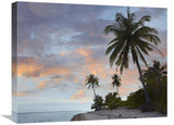Coconut Palm Trees, Pamilacan Island, Bohol Island, Philippines-Canvas Art-24X18