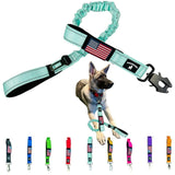 Heavy Duty Bungee Dog Leash - Shock Absorbing, Seat Belt Clip, Quick Release Frog Clasp, Double Padded Handles, for Large and Me