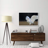 Snowy Owl Adult, Circumpolar Species, British Columbia, Canada-Paper Art-50,,X34,,