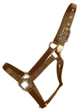 Hamilton 1-Inch Nylon Horse Halter, Yearling/Standard Donkey Size 300 to 500-Pound, Brown
