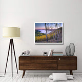 Aspen Forest Overlooking Fremont Lake, Bridger-Teton National Forest, Wyoming-Paper Art-42,,X32,,