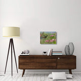 Rufous-Tailed Hummingbird Hovering Near Flower, Ecuador-Canvas Art-24X18