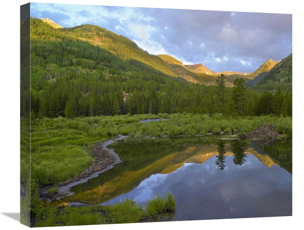 Pond And Boreal Forest, Ruby Range Near Crested Butte, Colorado-Canvas Art-24X20