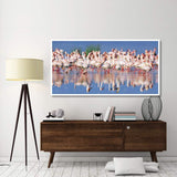 Lesser Flamingo, Lake Nakuru, Kenya-Paper Art-74,,X38,,