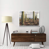 Safford Peak And Saguaro Saguaro National Park, Arizona-Paper Art-50,,X38,,