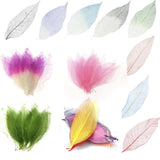 CALANDIS 3x50Pcs Natural Magnolia Skeleton Leaf Leaves Card Scrapbook Green+White | Flower Embellishments | Scrapbooking Embel