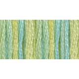 DMC 417F4060 Color Variations Six Strand Embroidery Floss, 8.7Yard, Weeping Willow