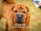2025 2026 Shar Pei Calendar - Dog Breed Monthly Wall Planner - 12 x 18 Open - Thick No-Bleed Paper - Giftable - Academic Teacher
