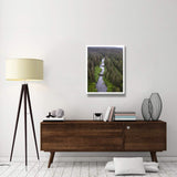 Stream And Boreal Forest, Tongass National Forest, Yakutat, Alaska-Paper Art-26,,X34,,