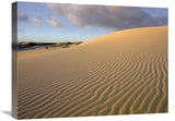 Sand Dune, Monahans Sandhills State Park, Texas-Canvas Art-24X18