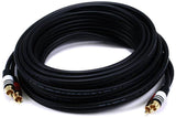 Rca Plug/2 Rca Plug M/M 25Ft CableBlack
