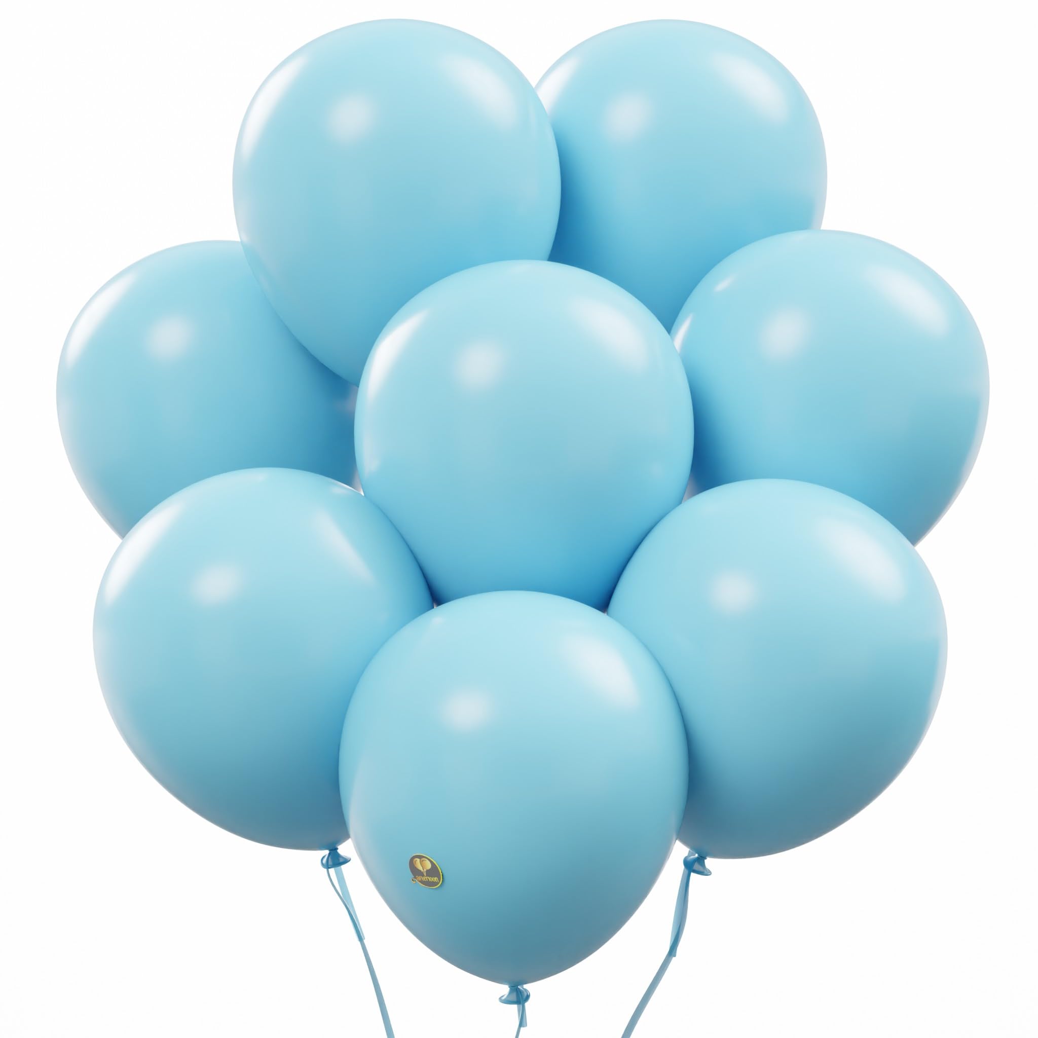 AFTERLOON Biodegradable Balloons 24 pcs Baby Blue 10 Inch, Matte Color Thickened Extra Strong Natural Latex Helium Float, Multic